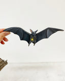 Lantern Bat #3 - painting